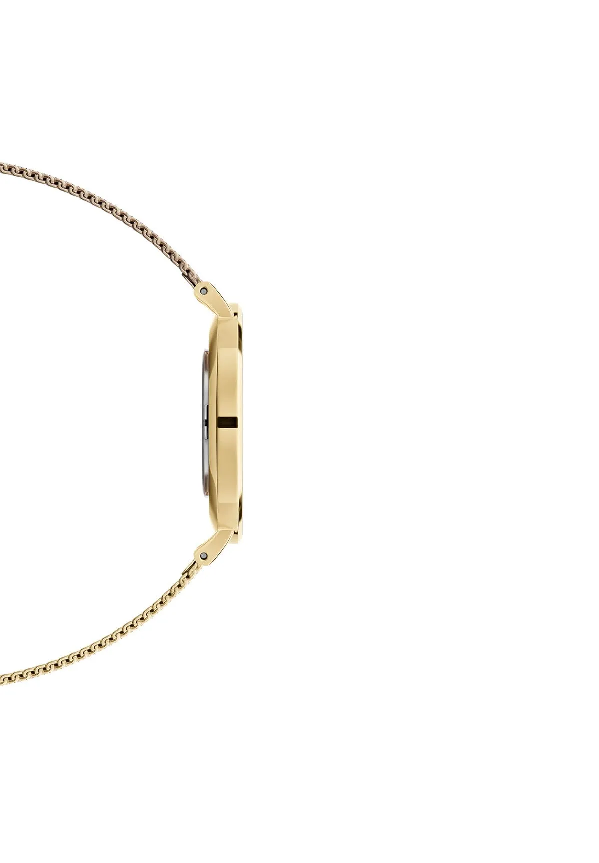 Daniel Wellington Petite Evergold 36mm White