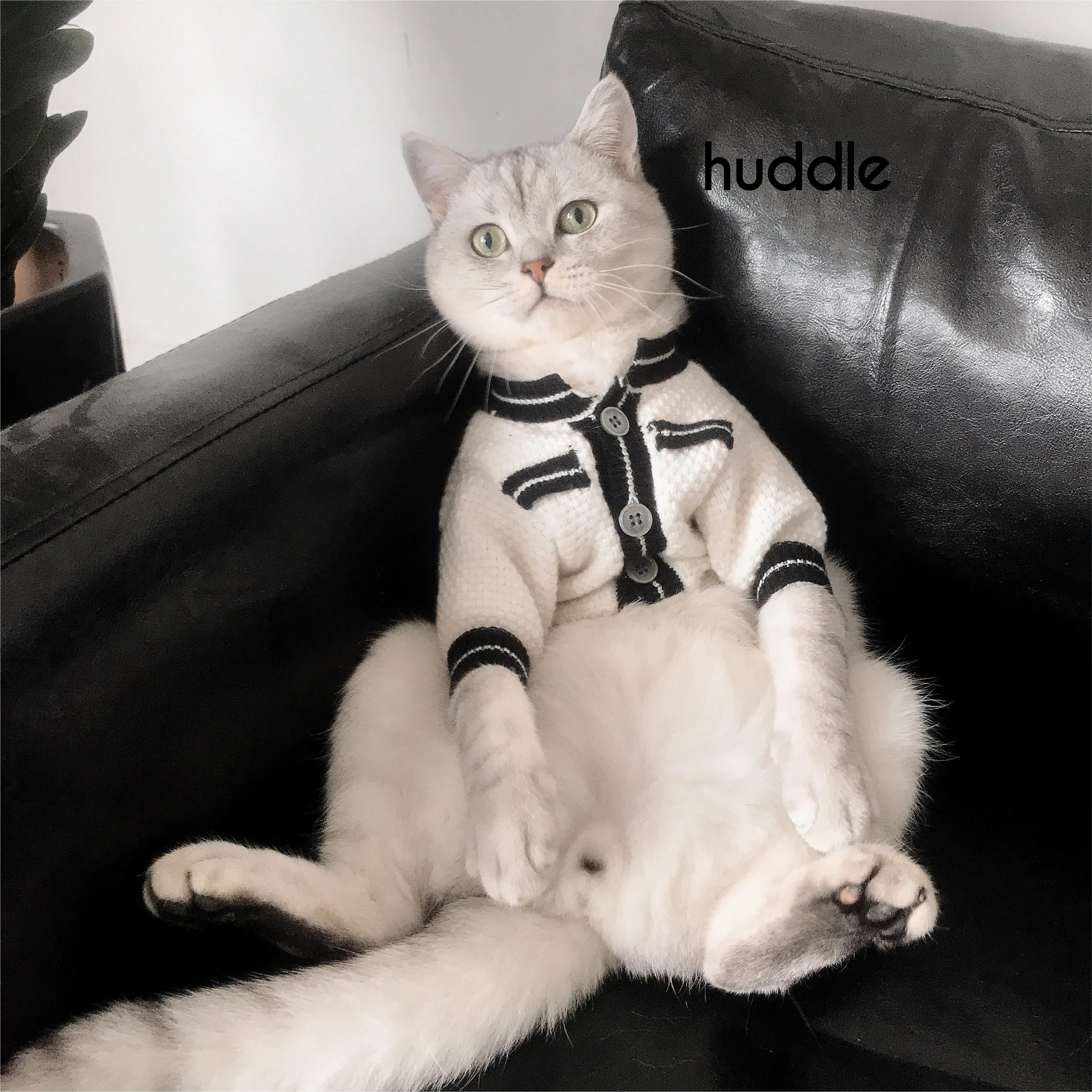 huddle Autumn Winter Pet Sweater