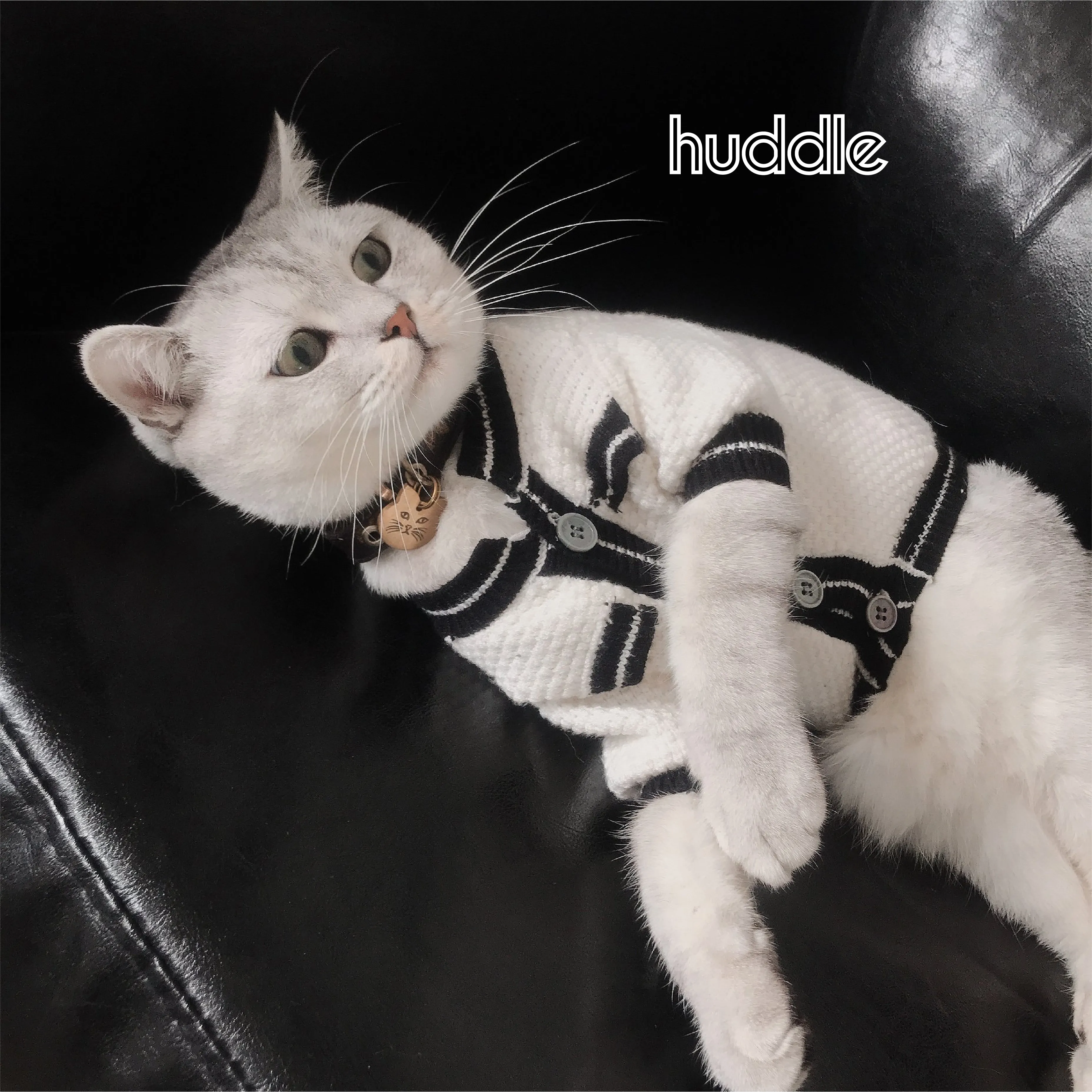 huddle Autumn Winter Pet Sweater