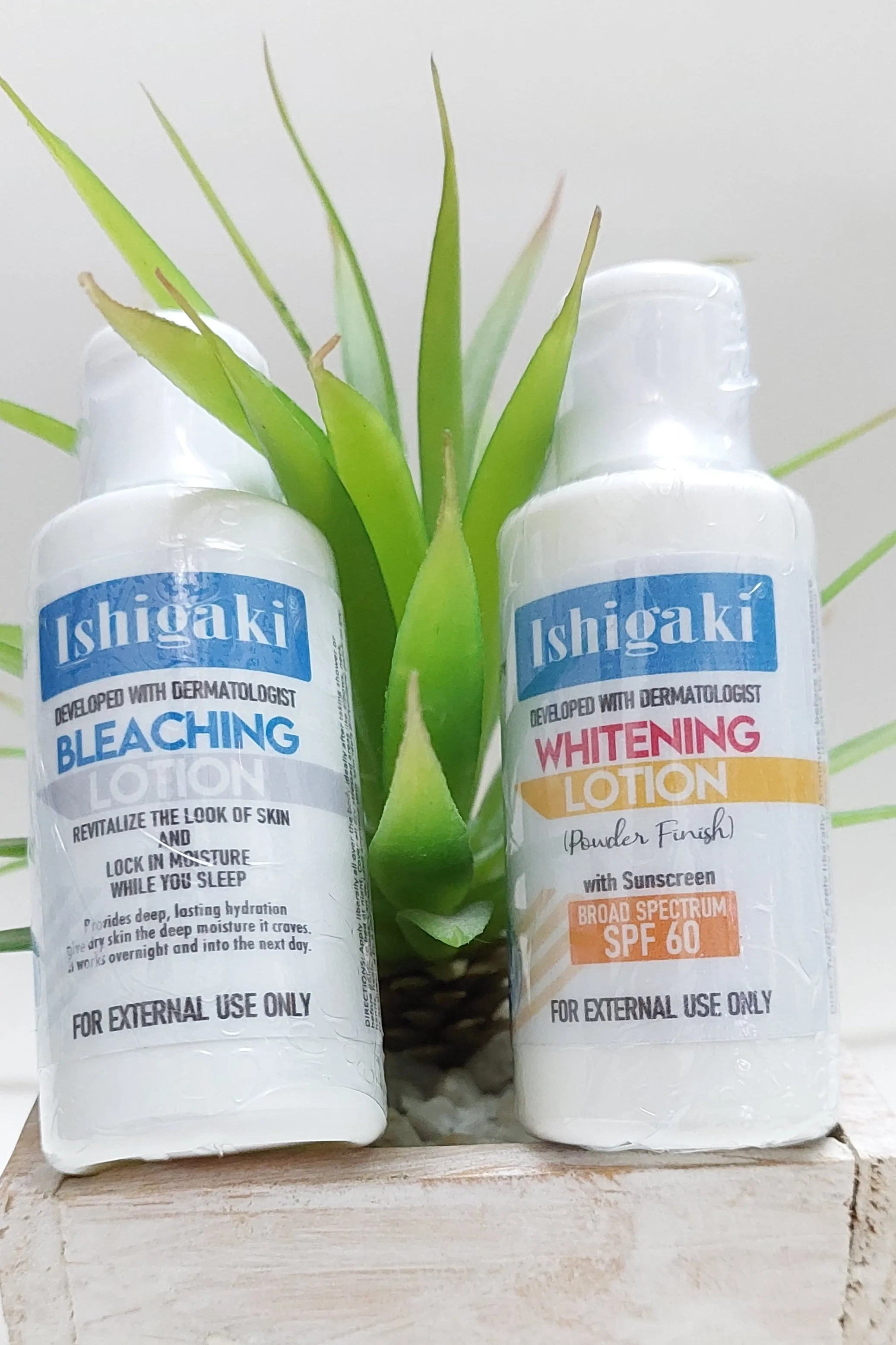 Ishigaki Day & Night Lotion Skin Care Set | Whitening & Bleaching Lotion Set