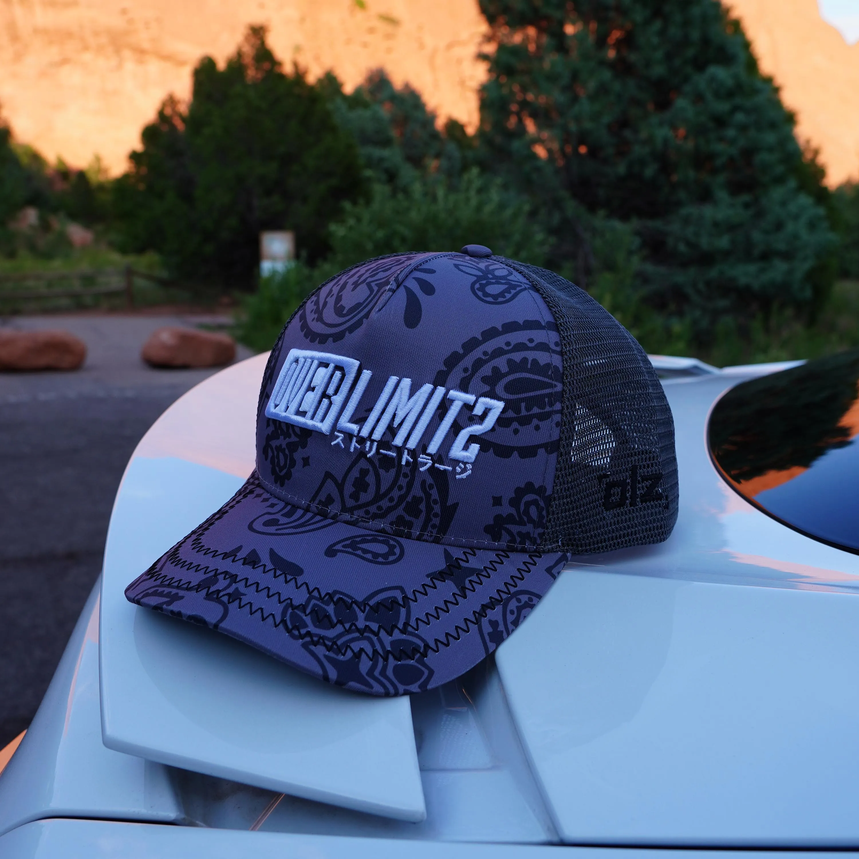 OverLimitz Paisley Hat (Gray)